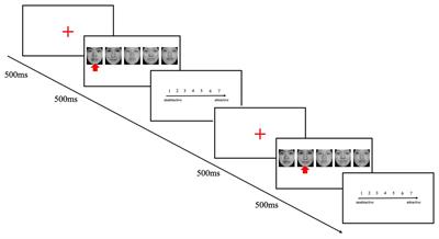 Contrast Effect of Facial Attractiveness in Groups